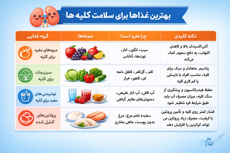 بهترین غذاها برای سلامت کلیه&zwnj;ها