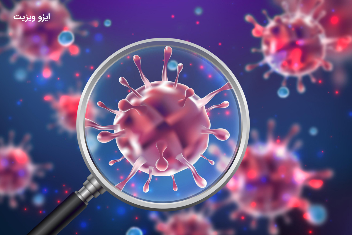 راه&zwnj;های انتقال زگیل تناسلی | زگیل تناسلی چگونه منتقل می&zwnj;شود؟ |تیم علمی تحقیقاتی ایزوویزیت