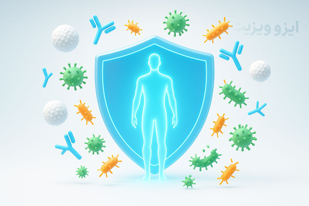 سیستم ایمنی بدن چیست و چطور باید آن را تقویت کرد؟ |تیم علمی تحقیقاتی ایزوویزیت