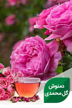 دمنوش گل محمدی