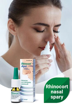 rhinocort nasal spary