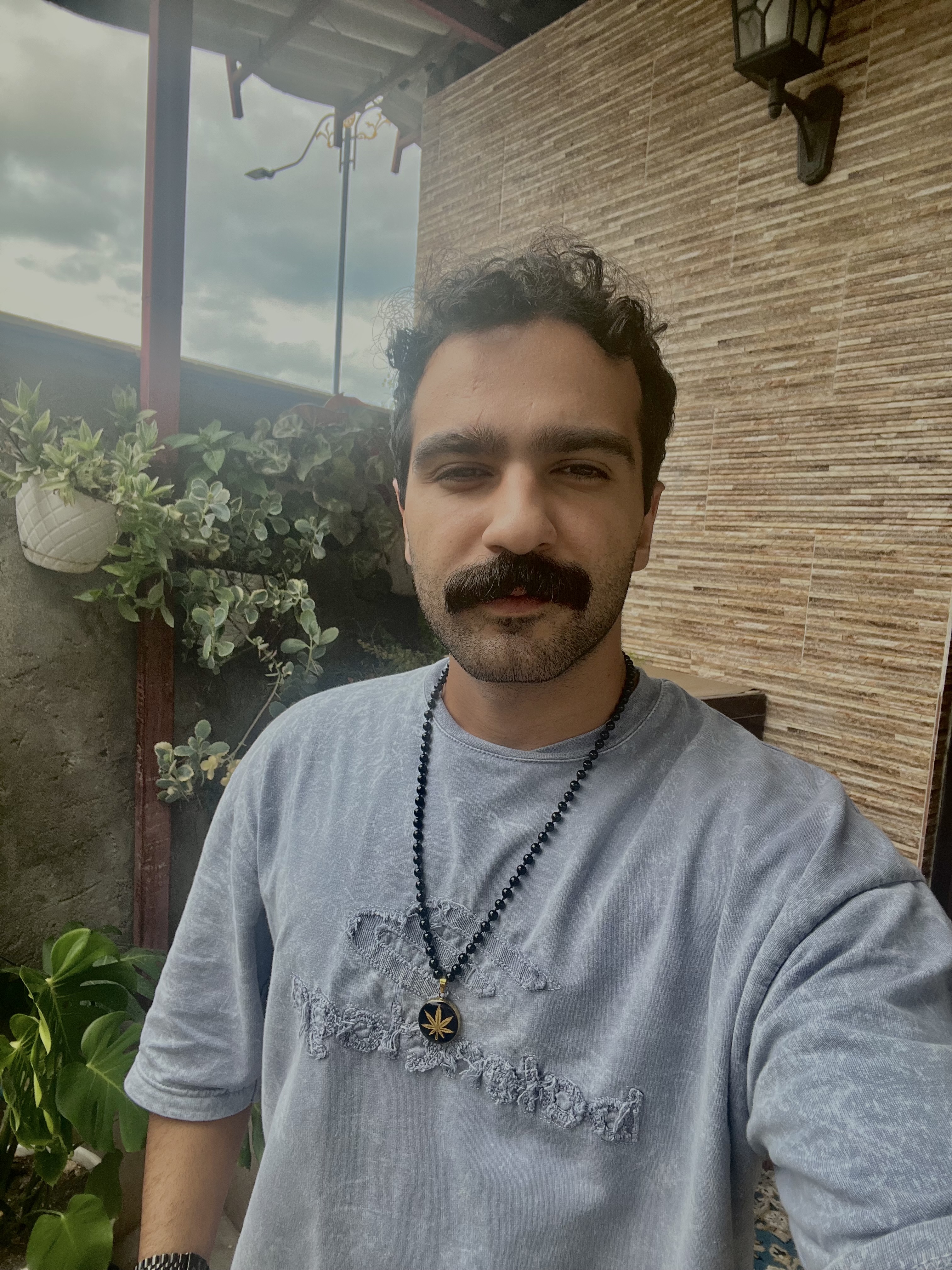 محمدرضا