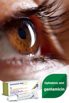 Ophtalmic oint gentamicin