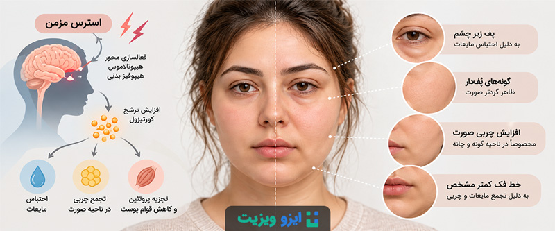 &laquo;صورت کورتیزولی&raquo; یا Cortisol Face یک اصطلاح رایج در شبکه&zwnj;های اجتماعی است که برای توصیف صورت گردتر، پف&zwnj;کرده&zwnj;تر یا پرتر به کار می&zwnj;رود.