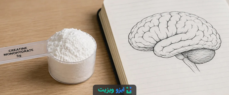 در سال&zwnj;های اخیر، شواهد امیدوارکننده&zwnj;ای نیز درباره تأثیر احتمالی کراتین بر حافظه، توجه و خستگی ذهنی منتشر شده است؛ اما این شواهد هنوز برای توصیه مصرف عمومی به همه زنان و افراد غیرورزشکار کافی نیستند.
