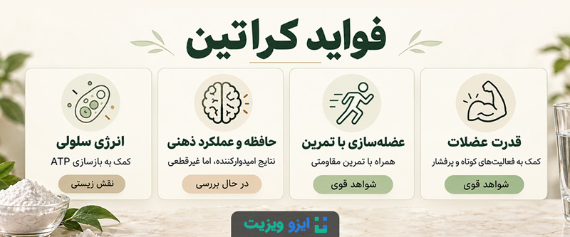 کراتین برای زنان و غیرورزشکاران؛ فواید حافظه و انرژی
