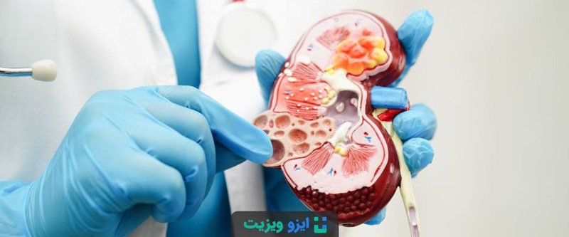 بالا بودن کراتینین خون معمولاً نشان&zwnj;دهنده کاهش عملکرد کلیه در دفع مواد زائد است.