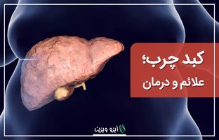 کبد چرب؛ علائم و درمان | محمد سبحانی