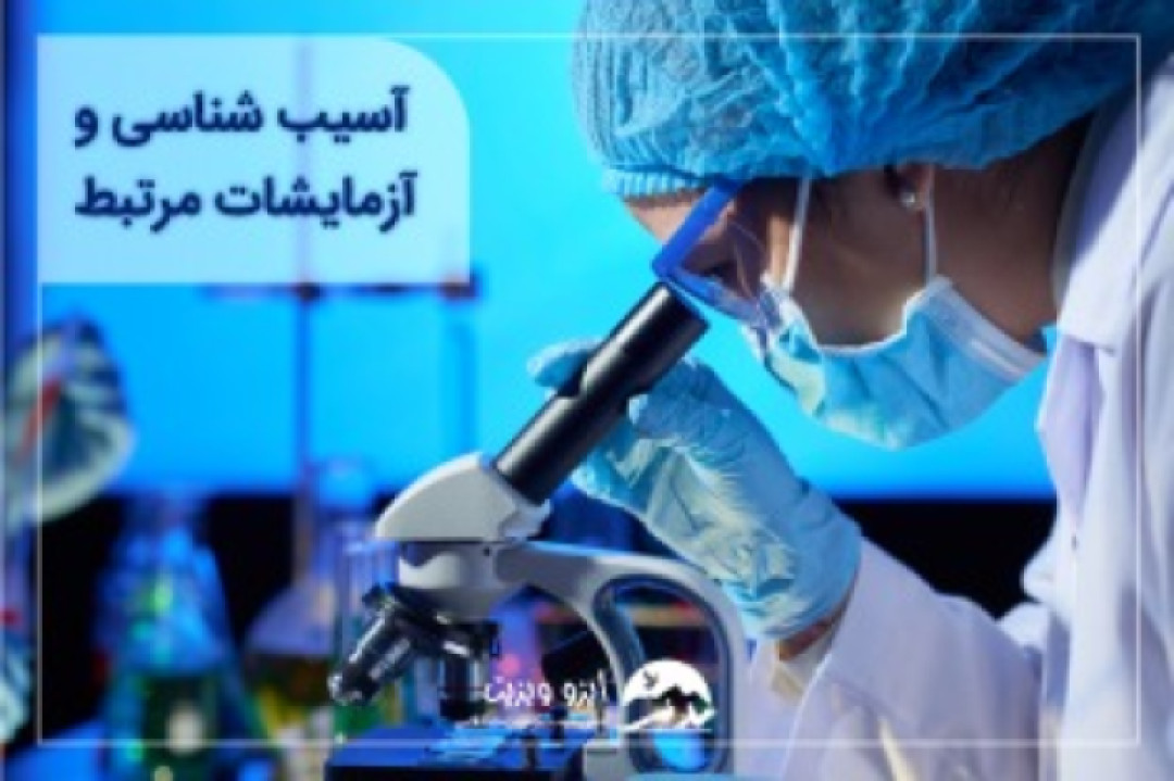 انواع آسیب شناسی یا پاتولوژی چیست؟ چگونگی انجام آن | امیر خرم
