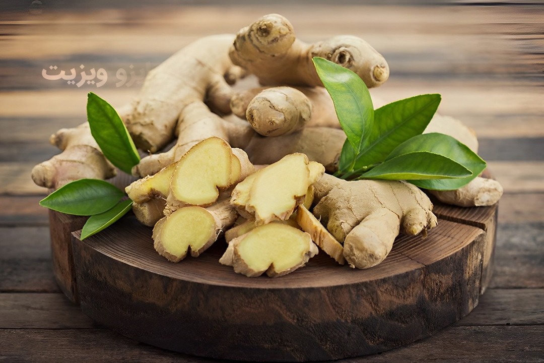 https://dl.isovisit.com/isovisit/uploads/properties-of-ginger.jpg