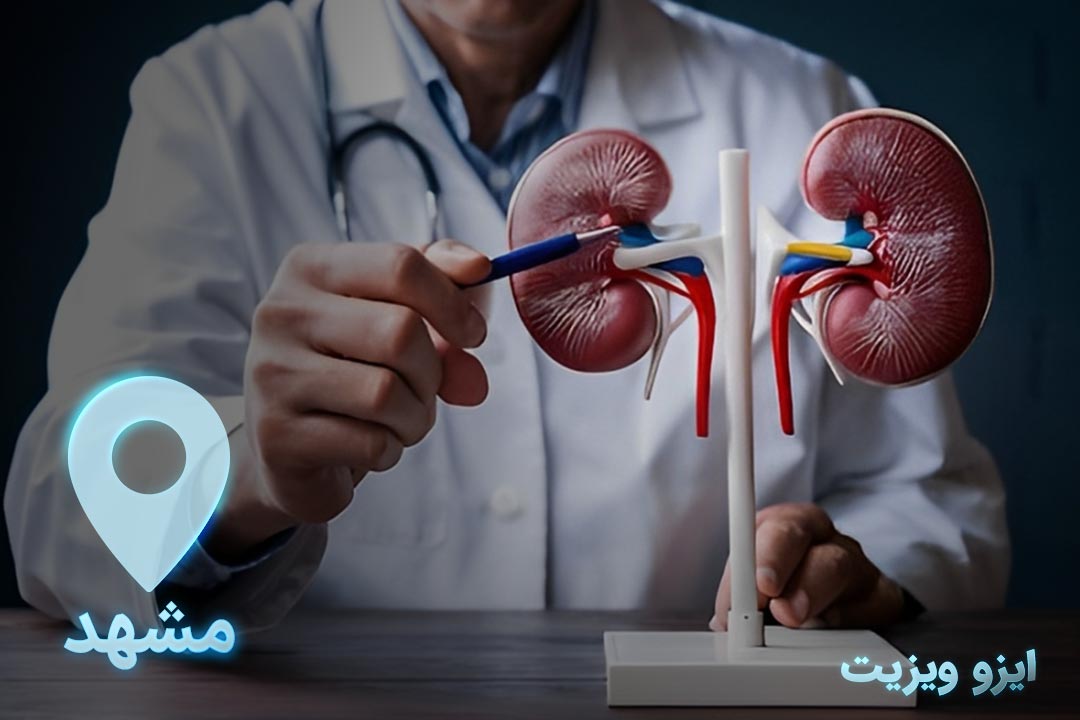 https://dl.isovisit.com/isovisit/uploads/the-best-urologist-in-mashhad.jpg