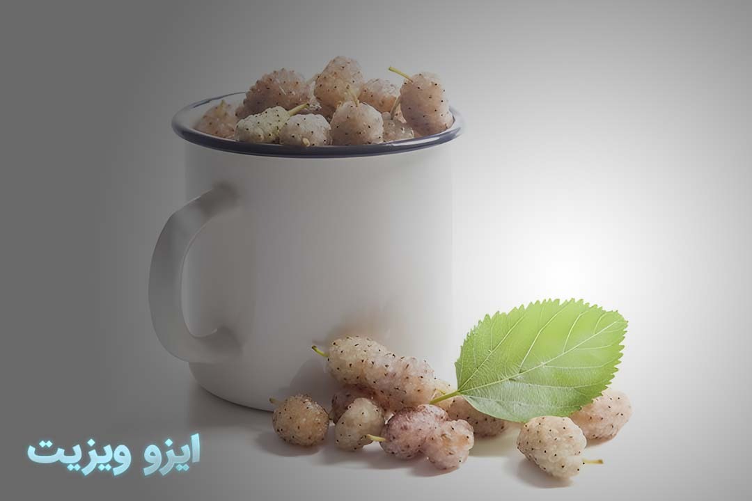 https://dl.isovisit.com/isovisit/uploads/خواص-توت-سفید.jpg